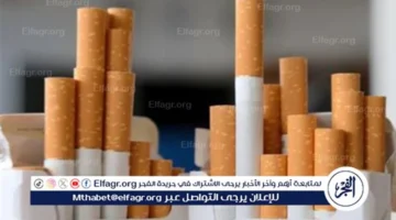 بداية من فبراير.. أسعار السجائر الجديدة تشهد زيادة متفاوتة حسب القائمة المحدثة